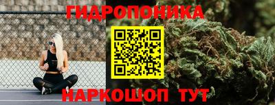 метадон Гагарин